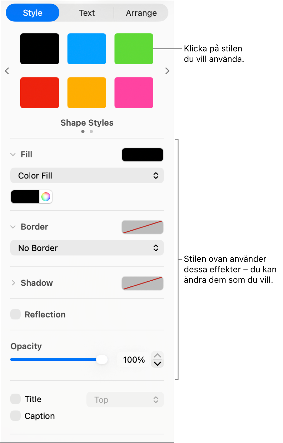 Stilar och alternativ för former under Format i sidofältet.