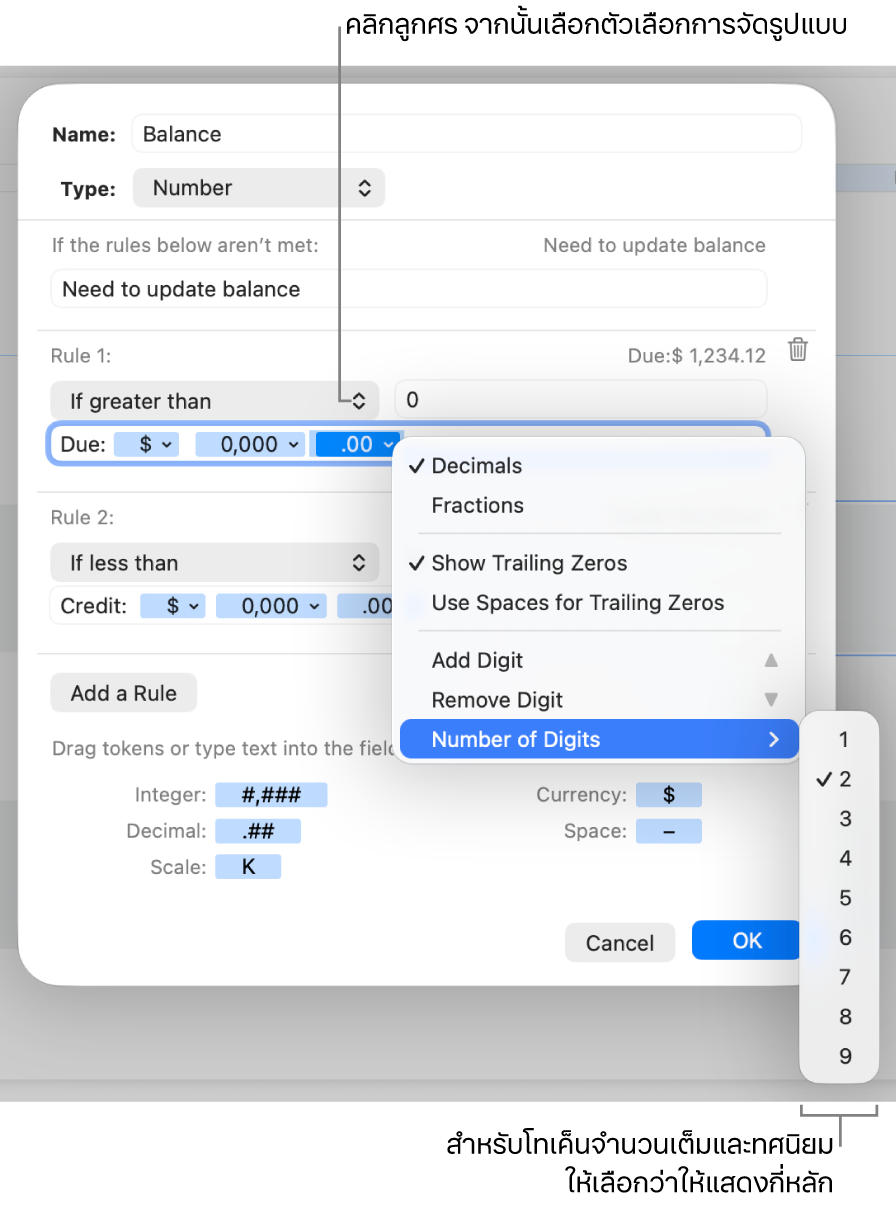 หน้าต่างรูปแบบเซลล์แบบกำหนดเองที่มีตัวควบคุมสำหรับสร้างรูปแบบตัวเลขแบบกำหนดเอง
