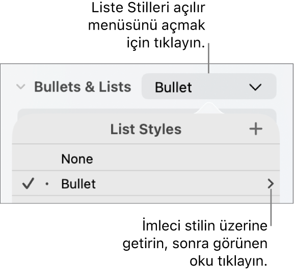 Tek stil seçili ve en sağında bir ok ile Liste Stilleri açılır menüsü.