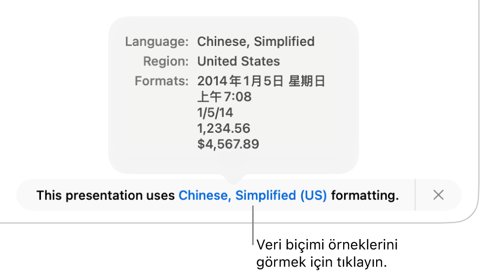 O dil ve bölgede kullanılan biçimlendirme örneklerini gösteren, farklı dil ve bölge ayarı bildirimi.