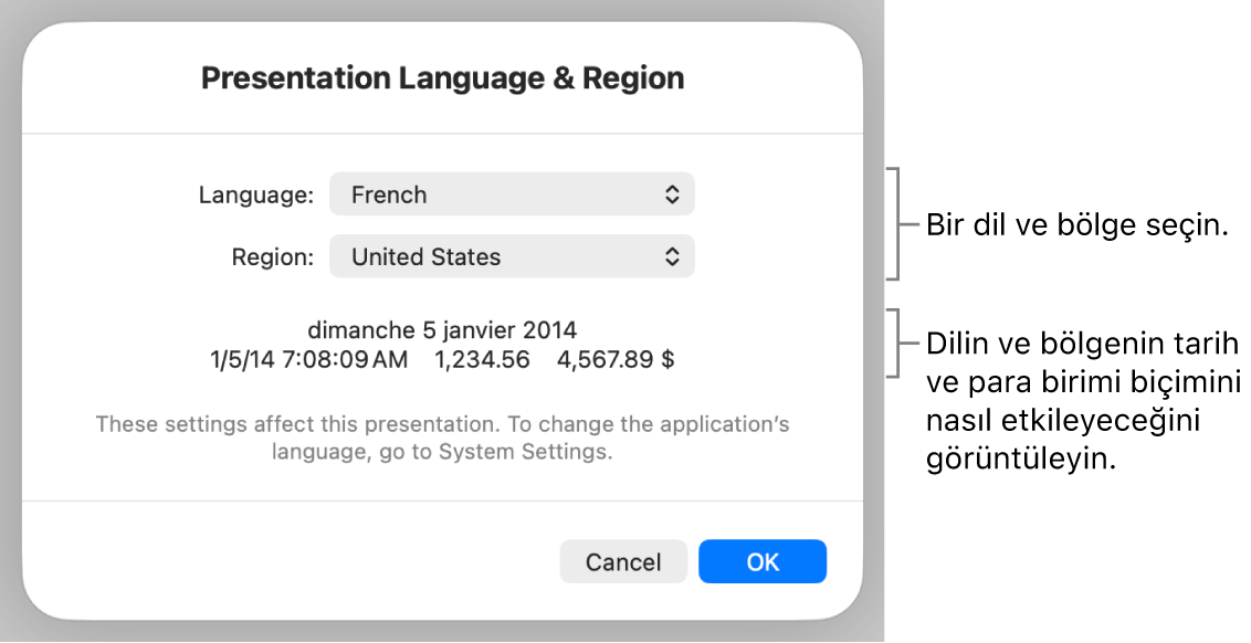 Dil ve bölge denetimleri ve tarih, saat, ondalık ve para birimi de dahil olmak üzere bir biçim örneği ile Dil ve Bölge bölümü.