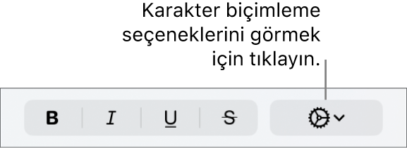 Kalın, İtalik ve Altı Çizgili düğmelerinin yanındaki İleri Düzey Seçenekler düğmesi.