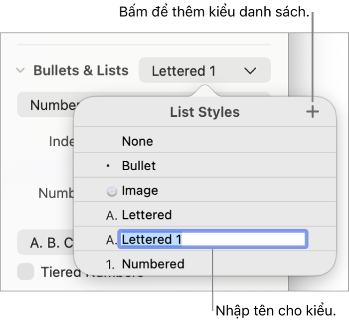 Menu bật lên Kiểu danh sách có nút Thêm ở góc trên cùng bên phải và tên kiểu giữ chỗ với văn bản được chọn.