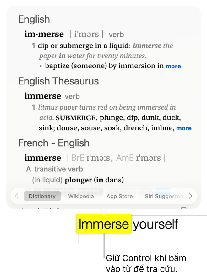 Văn bản có từ được tô sáng và cửa sổ hiển thị định nghĩa cũng như mục nhập từ điển đồng nghĩa. Hai nút ở cuối cửa sổ sẽ cung cấp liên kết đến từ điển và Wikipedia.
