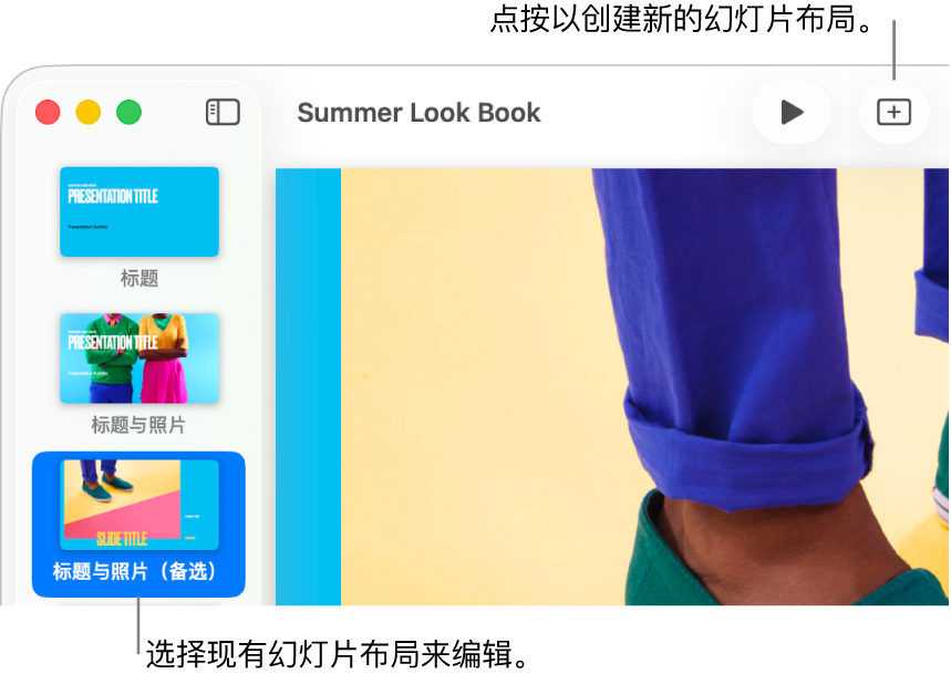 幻灯片布局区域显示一个幻灯片布局,其上方是工具栏中的“添加幻灯片”按钮。