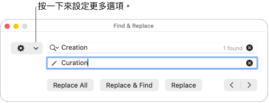 「尋找與取代」視窗,説明文字指向顯示更多選項的彈出式選單。