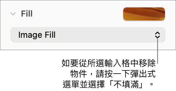 移除輸入格物件的控制項目。
