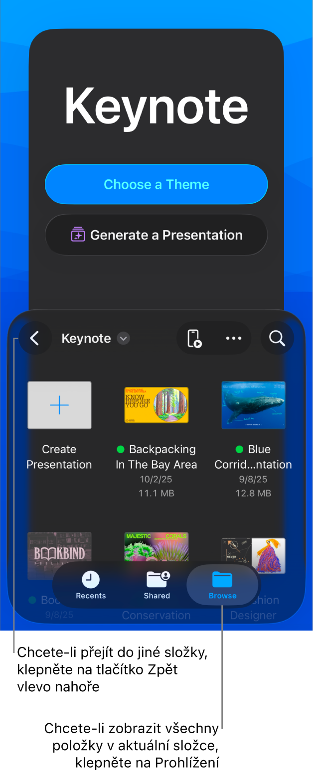 Správce dokumentů s tlačítky pro výběr motivů a zahájení prezentace z osnovy v horní polovině obrazovky a prohlížečem dokumentů se sdílenou prezentací v dolní polovině