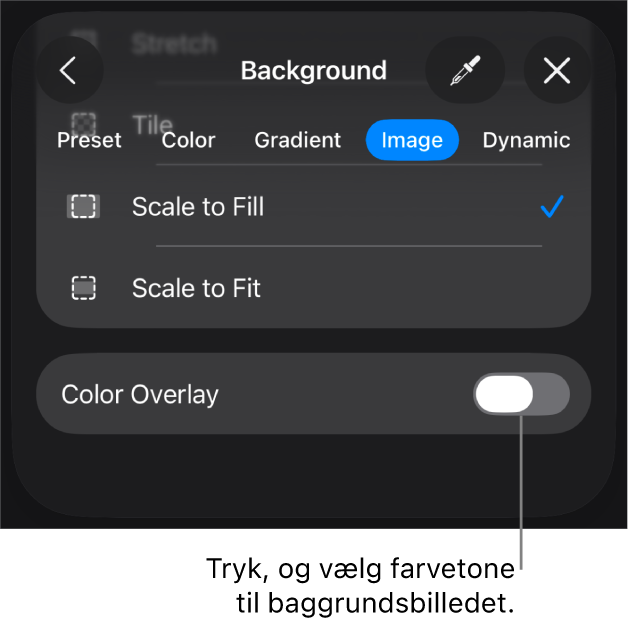 Betjeningsmulighederne til baggrund med et billede indstillet som lysbilledbaggrund og betjeningsmulighederne til Farveoverligger nederst.