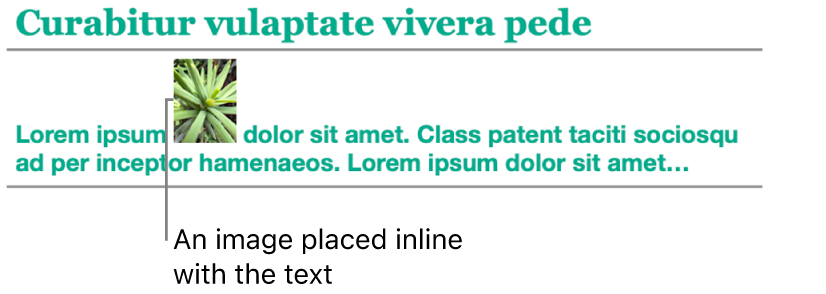 An image is placed inline with text.