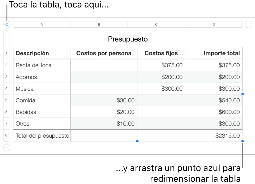 Una tabla seleccionada con puntos azules para redimensionarla.