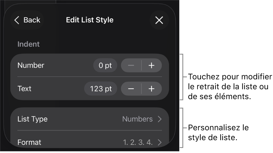 Menu Style de liste avec les commandes pour modifier le type et l’apparence de la liste.