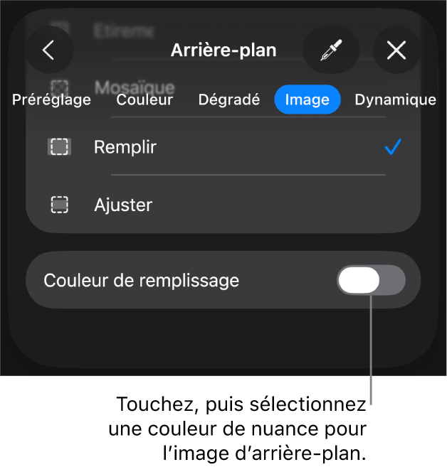 Les commandes Arrière-plan avec une image définie comme arrière-plan de la diapositive et la commande Superposition de couleurs en bas.