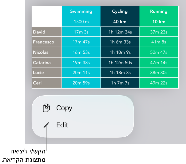 נבחרה טבלה, ומתחתיה מופיע תפריט עם הכפתורים ״העתק״ ו״עריכה״.