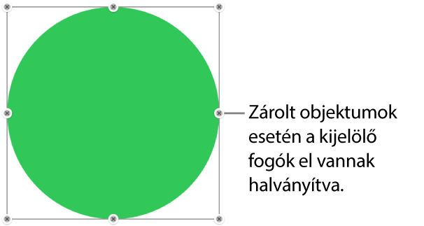 Zárolt objektum elhalványított kijelölőfogantyúkkal.