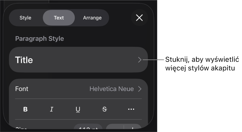 Menu Format z narzędziami tekstu pozwalającymi na ustawianie stylów akapitu, stylów znaków, czcionki, wielkości oraz koloru.