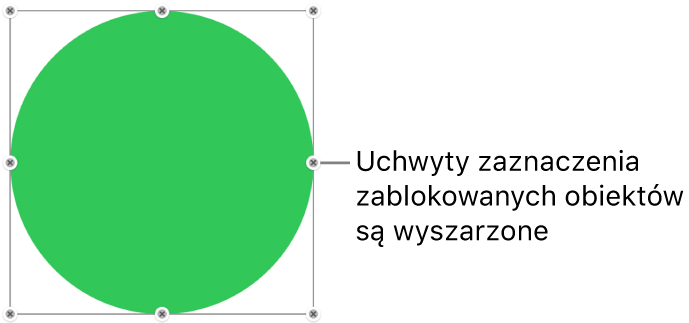 Zablokowany obiekt z wyszarzonymi uchwytami zaznaczenia.