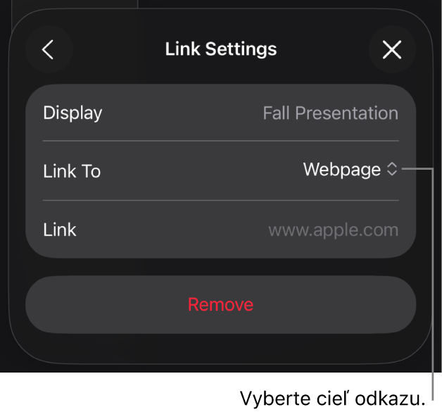 Ovládacie prvky nastavení odkazov s vybranou položkou Webová stránka a tlačidlom Odstrániť v dolnej časti.
