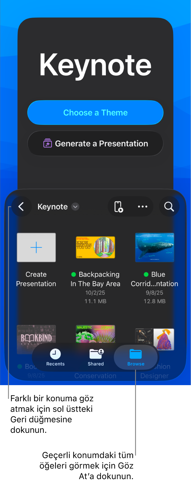 Sol üst köşede Geri düğmesi ve onun altında Arama alanıyla Belge yöneticisinin göz at görüntüsü. Sağ üst köşede Ekle, Diğer ve Kumanda düğmeleri bulunuyor. Ekranın en altında Son Kullanılanlar, Paylaşılanlar ve Göz At düğmeleri vardır.