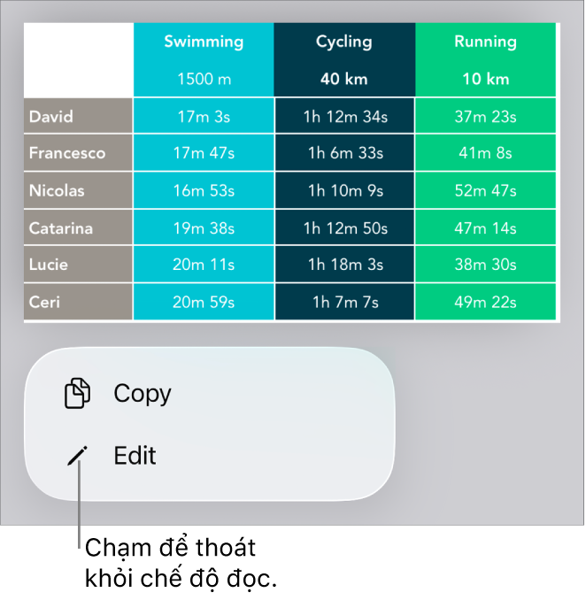 Một bảng được chọn và phía dưới bảng đó là menu với các nút Sao chép và Sửa.