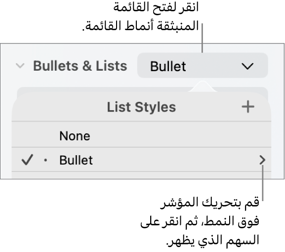 القائمة المنبثقة "أنماط القائمة" بها نمط واحد محدد وسهم على أقصى يساره.