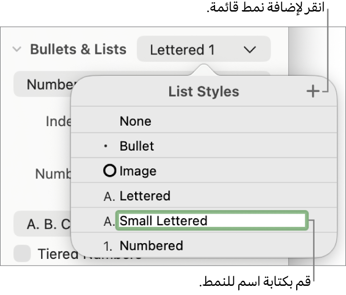 القائمة المنبثقة أنماط القائمة بها زر إضافة في الزاوية العلوية اليسرى واسم نمط عنصر نائب نصه محدد.