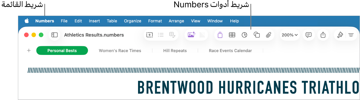 شريط القائمة في الجزء العلوي من الشاشة وبه قوائم Apple و Numbers وملف وتعديل وإدراج وجدول وتنظيم وتنسيق وترتيب وعرض ونافذة ومساعدة. أسفل شريط القائمة يوجد جدول بيانات Numbers مفتوح به أزرار شريط الأدوات على طول الجزء العلوي لكل من عرض وتكبير/تصغير وإضافة فئة وجدول محوري وإدراج وجدول ومخطط ونص.