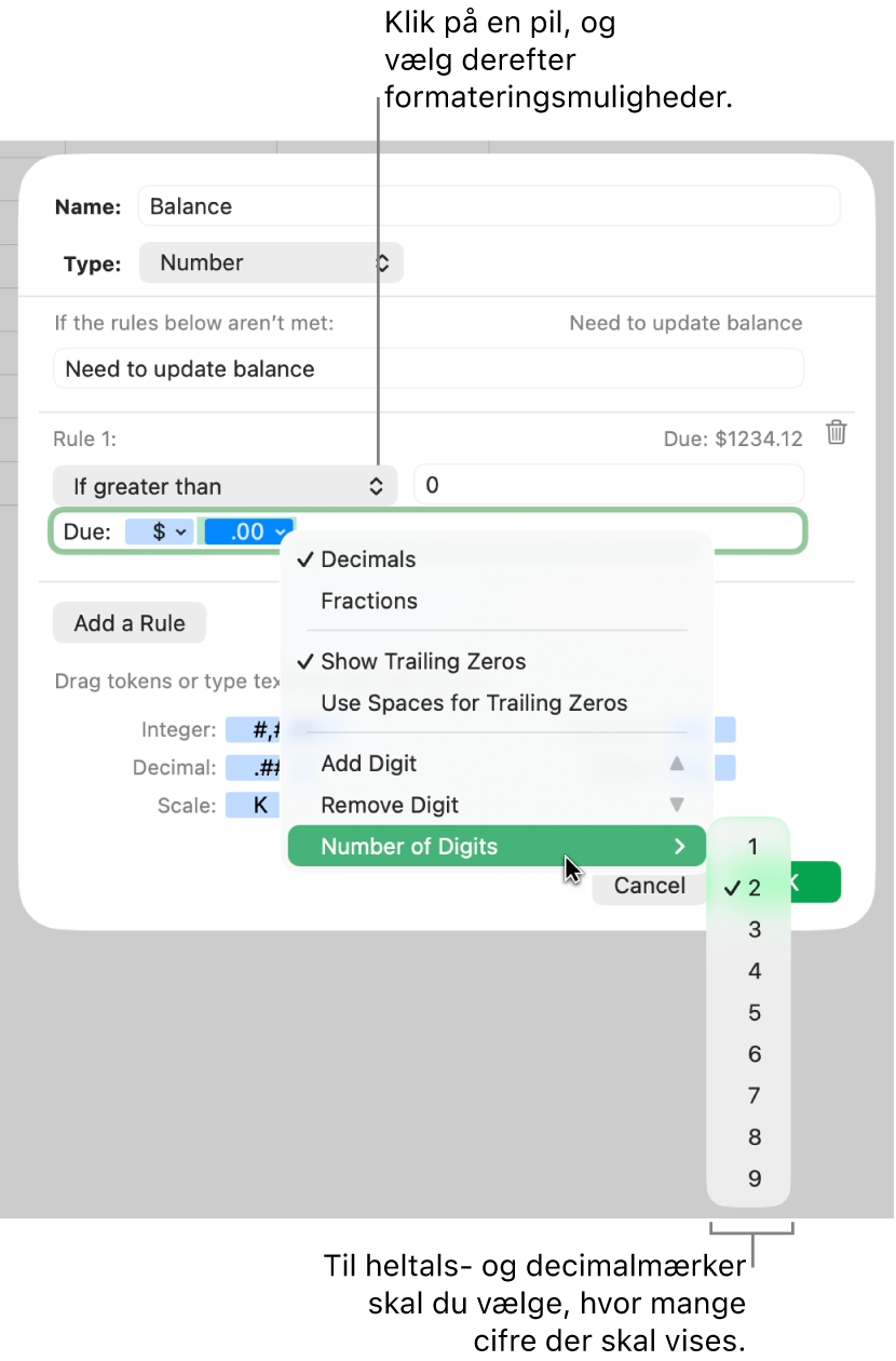 Vinduet til specielle celleformater med betjeningsmuligheder til valg af specielle formateringsmuligheder.