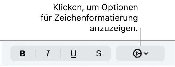 Die Taste „Erweiterte Optionen“ neben den Tasten „Fett“, „Kursiv“ und „Unterstrichen“