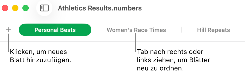 Tableiste zum Hinzufügen eines neuen Blatts und zum Ändern der Anordnung der Blätter
