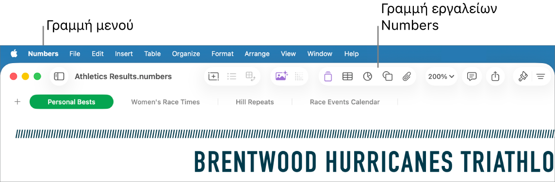 Η γραμμή μενού στο πάνω μέρος της οθόνης με τα μενού: Apple, Numbers, Αρχείο, Επεξεργασία, Εισαγωγή, Πίνακας, Οργάνωση, Μορφή, Διευθέτηση, Προβολή, Παράθυρο, και Βοήθεια. Κάτω από τη γραμμή μενού εμφανίζεται ένα ανοιχτό υπολογιστικό φύλλο Numbers με τα κουμπιά της γραμμής εργαλείων «Προβολή», «Ζουμ», «Προσθήκη κατηγορίας», «Συγκεντρωτικός πίνακας», «Εισαγωγή», «Πίνακας», «Γράφημα» και «Κείμενο» στο πάνω μέρος.