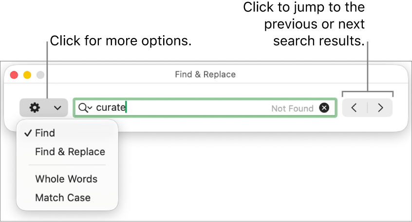 The Find & Replace window with the pop-up menu showing options for Find, Find & Replace, Whole Words and Match Case. The arrows on the right let you jump to the previous or next search results.