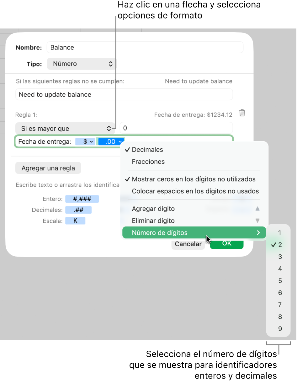 La ventana de formato de celda personalizado con controles para seleccionar opciones de formato personalizadas.