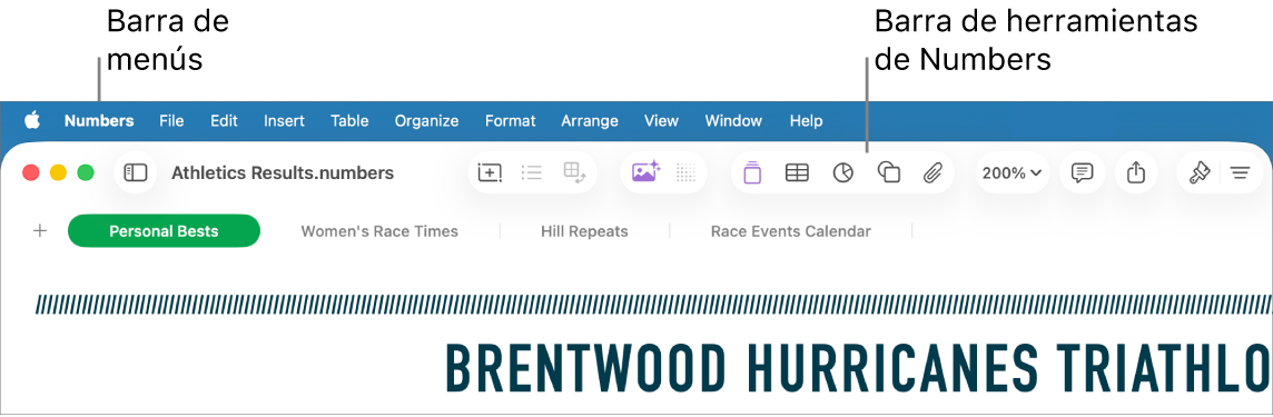 La barra de menús situada en la parte superior de la pantalla con los menús Apple, Numbers, Archivo, Edición, Insertar, Tabla, Organizar, Formato, Disposición, Visualización, Ventana y Ayuda. Debajo de la barra de menús hay una hoja de cálculo de Numbers abierta con los botones Visualización, Zoom, “Añadir categoría”, “Tabla de pivotación”, Insertar, Tabla, Gráfica y Texto de la barra de herramientas por la parte superior.