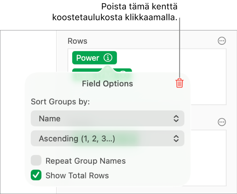Kenttävalinnat-valikko, jossa näkyvät säätimet datan ryhmittelylle ja järjestämiselle sekä kentän poistamisen valinta.