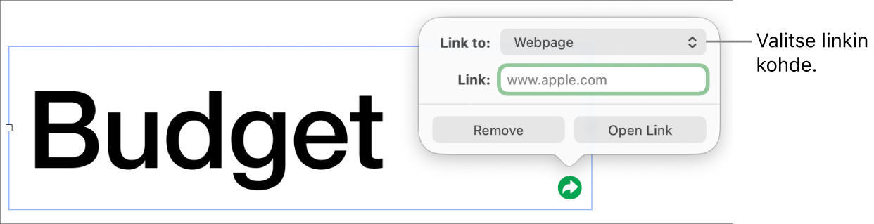 Linkin muokkausikkunan säätimet, joissa on valittuna Verkkosivu ja alhaalla ovat painikkeet Poista ja Avaa linkki.