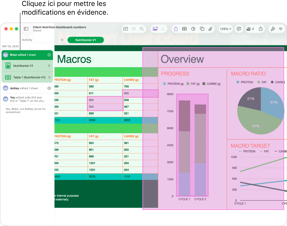 Une feuille de calcul collaborative avec le menu de collaboration et la liste des activités ouverts.
