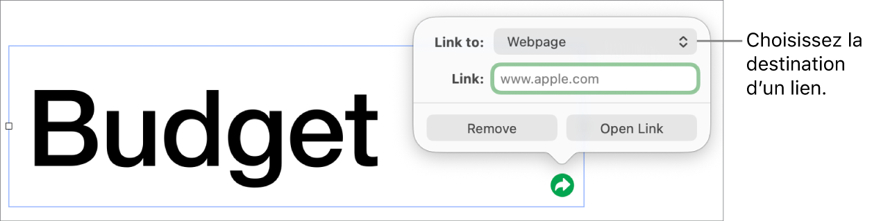 Les commandes de l’éditeur de lien avec l’option Page Web sélectionnée au-dessus des boutons Supprimer et Ouvrir le lien.