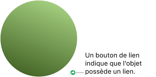Un bouton de lien sur une forme.