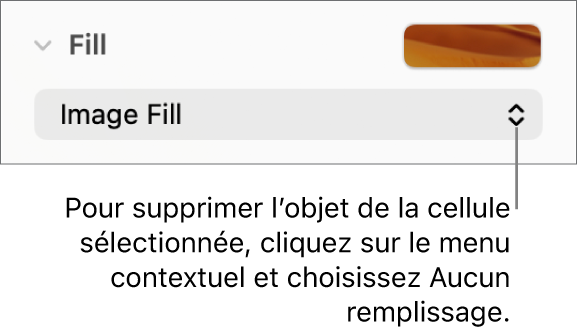 Commande permettant de supprimer un objet de la cellule sélectionnée.