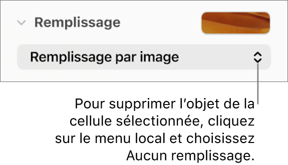 Commande permettant de supprimer un objet de la cellule sélectionnée.
