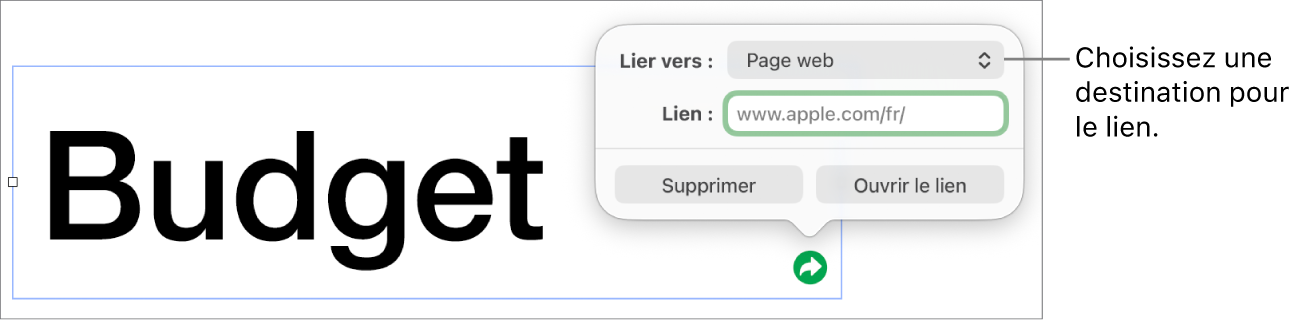 Les commandes de l’éditeur de liens avec une page web sélectionnée et les boutons Supprimer et Ouvrir le lien en bas.