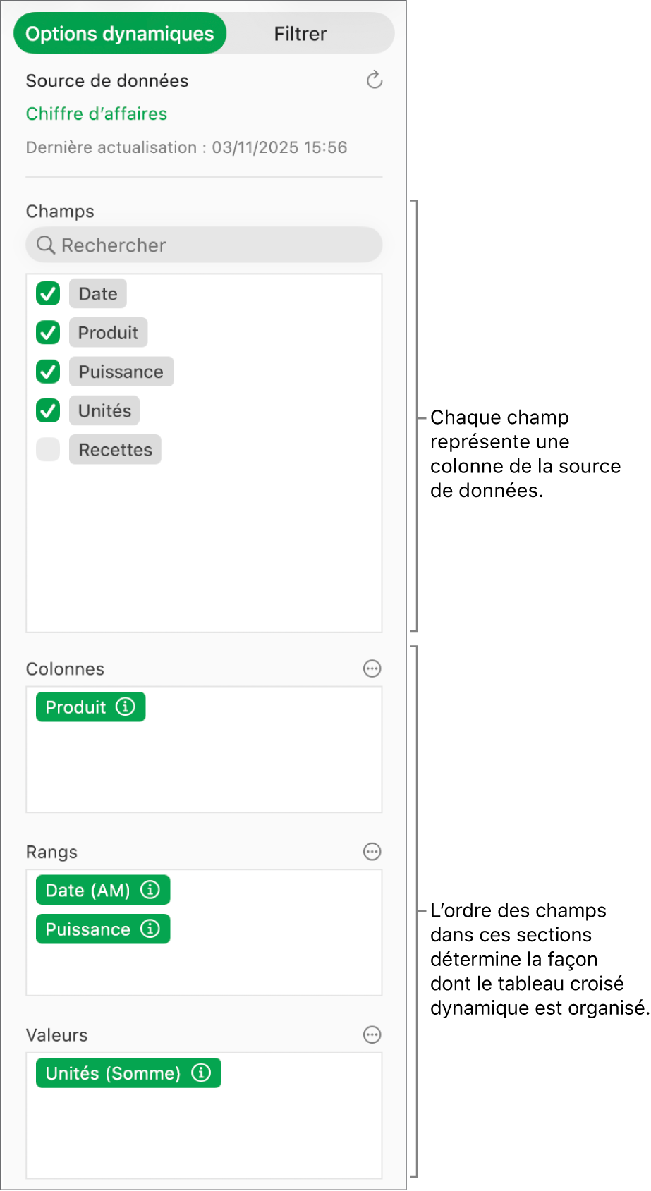 Le menu « Options dynamiques » affichant des champs dans les sections Colonnes, Rangs et Valeurs, ainsi que des commandes permettant de modifier les champs et d’actualiser le tableau croisé dynamique.