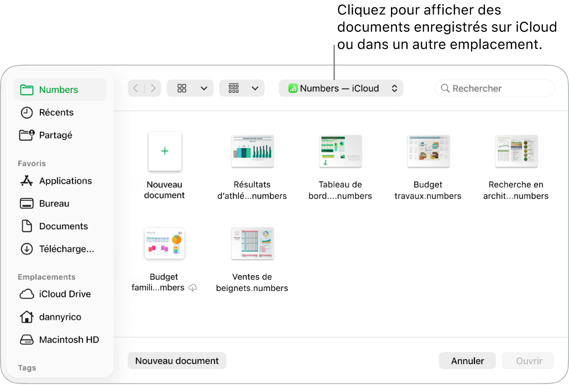 La zone de Dialogue Ouvrir avec la barre latérale ouverte sur la gauche et iCloud Drive sélectionné dans le menu local en haut. Des dossiers pour Keynote, Numbers et Pages apparaissent dans la zone de dialogue, ainsi que le bouton Nouveau document.