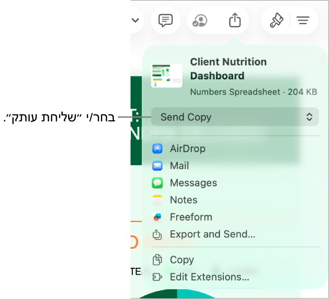 תפריט השיתוף כאשר האפשרות ״שלח/י עותק״ נבחרת בחלק העליון.