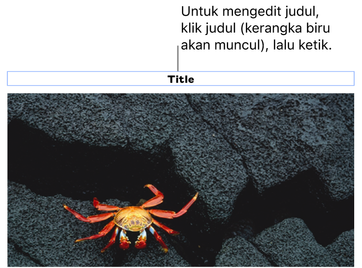 Judul placeholder, “Judul”, muncul di bawah foto; kerangka biru di sekitar bidang judul menampilkan bahwa objek dipilih.