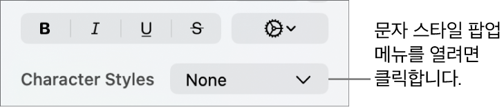 텍스트 스타일 및 색상 변경 제어기 아래에 있는 문자 스타일 팝업 메뉴.