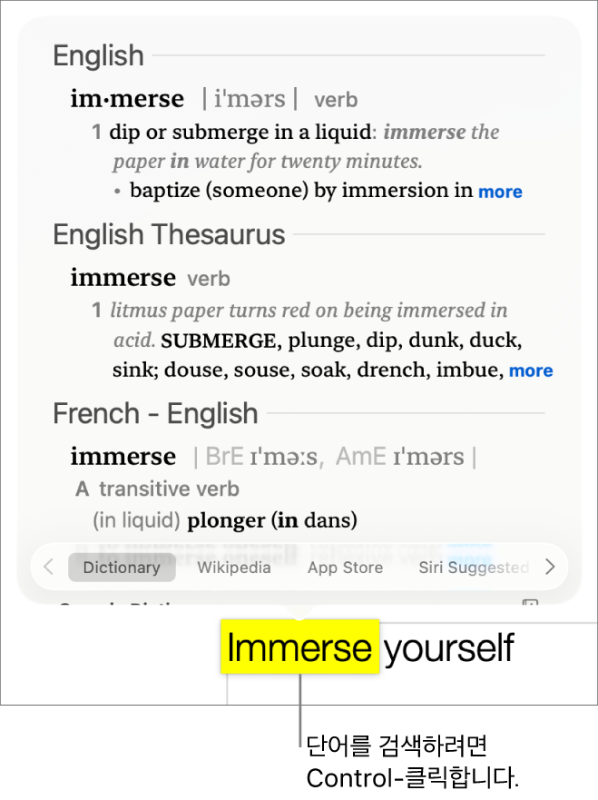 하이라이트된 단어가 있는 텍스트와 해당 단어의 정의 및 유의어 항목을 표시하는 윈도우. 윈도우 하단에 사전, 위키백과 및 Siri 추천 웹사이트 링크를 제공하는 세 개의 버튼이 있음.