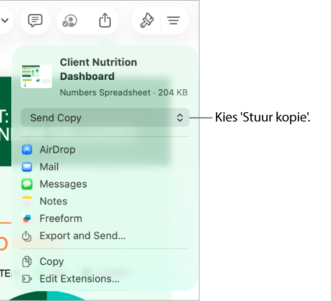 Het Deel-menu waarin bovenin 'Stuur kopie' is geselecteerd.