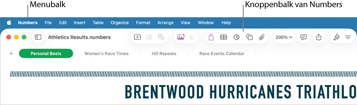 De menubalk boven in het scherm met de volgende menu's: Apple, Numbers, Archief, Wijzig, Voeg in, Tabel, Organiseer, Opmaak, Orden, Weergave, Venster en Help. Onder de menubalk wordt een Numbers-spreadsheet weergegeven met bovenaan een knoppenbalk met knoppen voor Weergave, Zoom, Voeg categorie toe, Draaitabel, Voeg in, Tabel, Diagram en Tekst.